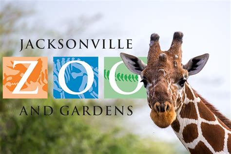 Jacksonville zoo - 
